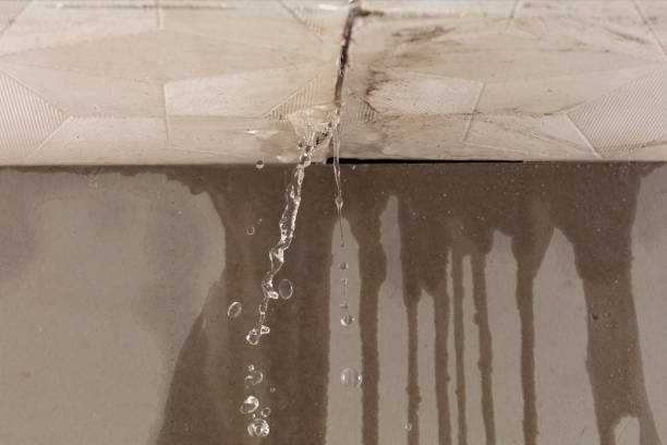 Professional Structural Drying technician working in Poland, OH